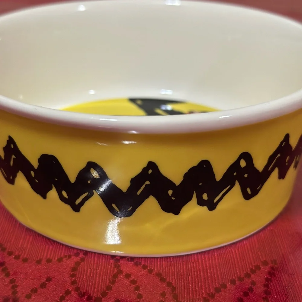 Peanuts Snoopy Pet Bowl collection